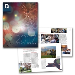 Annual Report for NYSERNet 2017